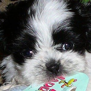 Meet your Posher, Candace